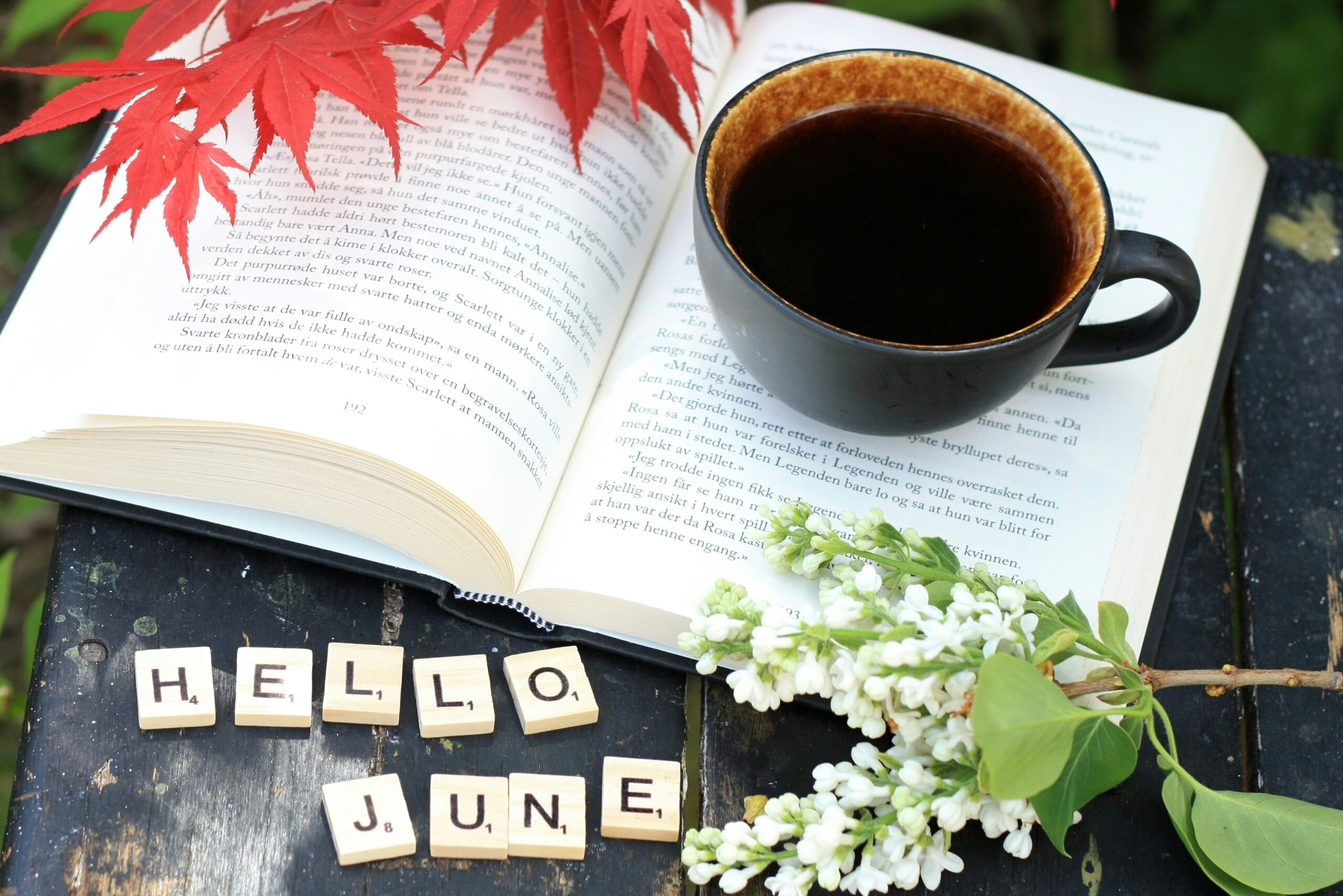 June_Blog June recap