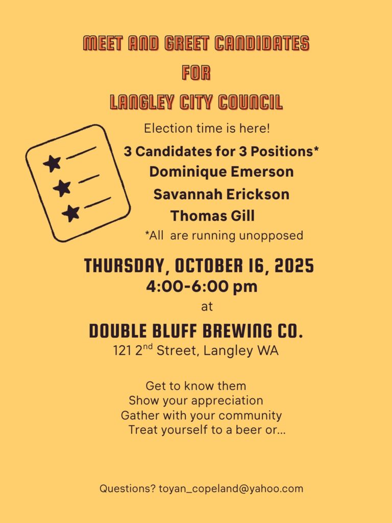 Langley City Council