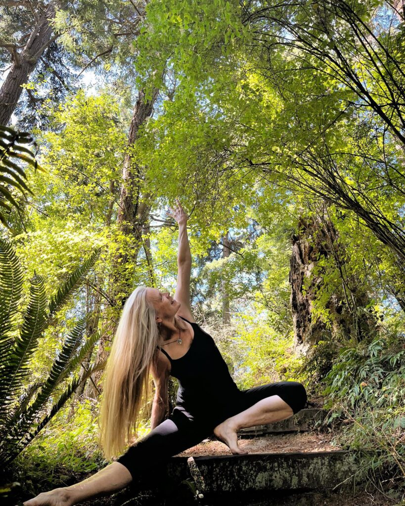 MeanderDanceCollective