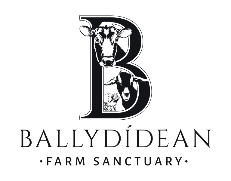 Ballydidean Logo 768x602